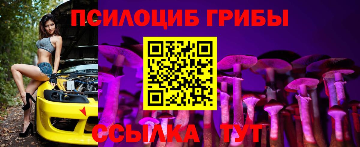 Псилоцибиновые грибы GOLDEN TEACHER  Вход с VPN  Ртищево  магазин продажи   Псилоцибиновые грибы GOLDEN TEACHER 